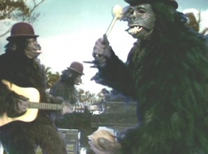 Nilsson gorillas, Coconut, BBC