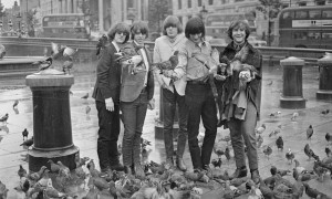 The Byrds and The Birds